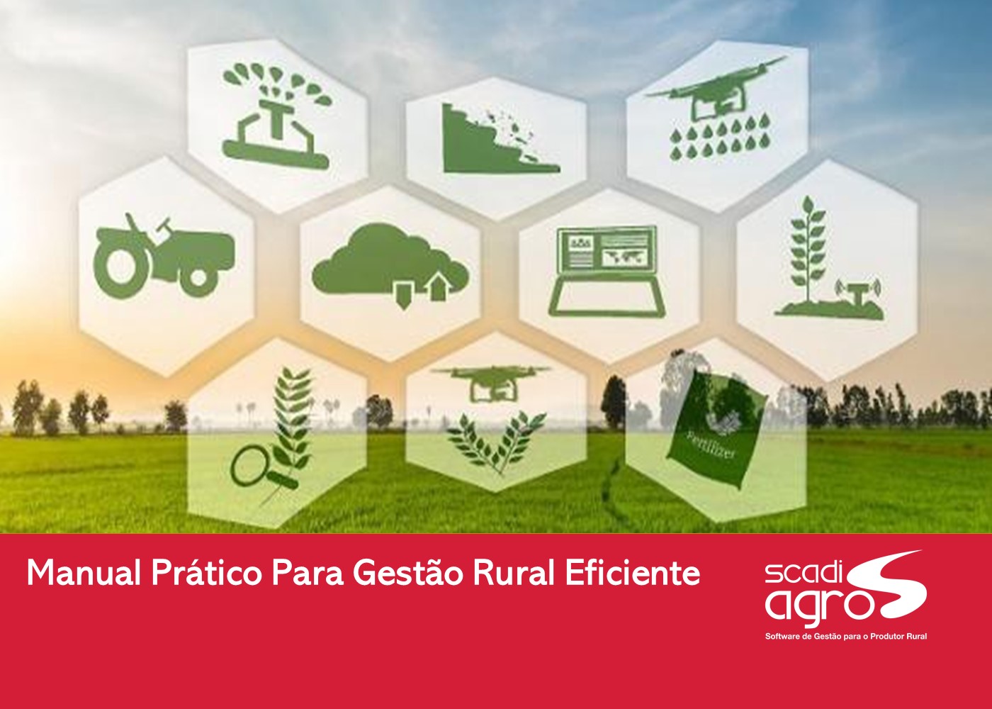 Fluxo de Caixa: O Coração da Saúde Financeira da Sua Fazenda - inspiração 2