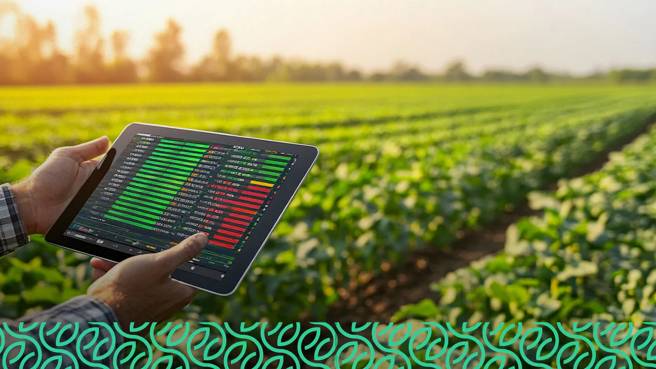 Análise de Investimentos Rurais: Quando e Como Aplicar seu Dinheiro - inspiração 2