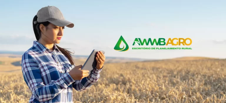 Ferramentas e Tecnologias para Facilitar a Gestão Financeira - inspiração 2