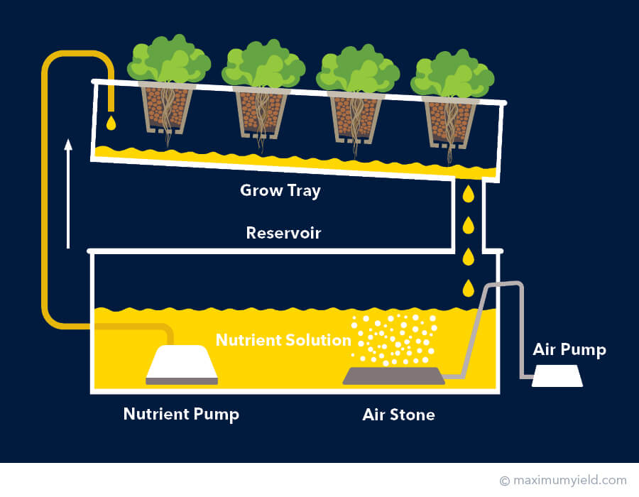 Montando a Estrutura Básica: Passo a Passo Descomplicado - inspiração 2