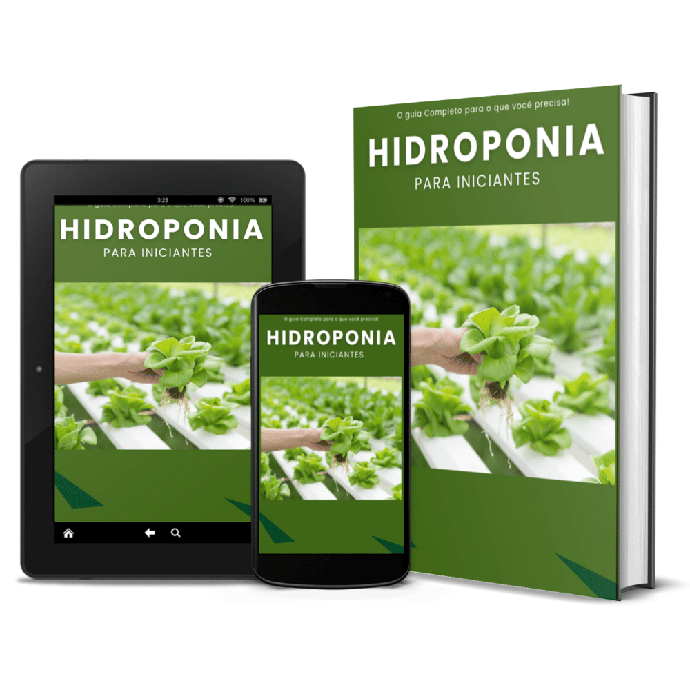 Controlando o pH e a Condutividade Elétrica (EC) - inspiração 2