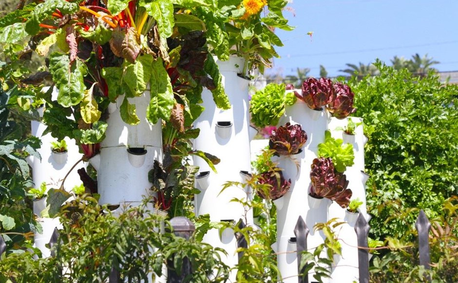 Monitoramento e Cuidados Diários Essenciais - inspiração 1