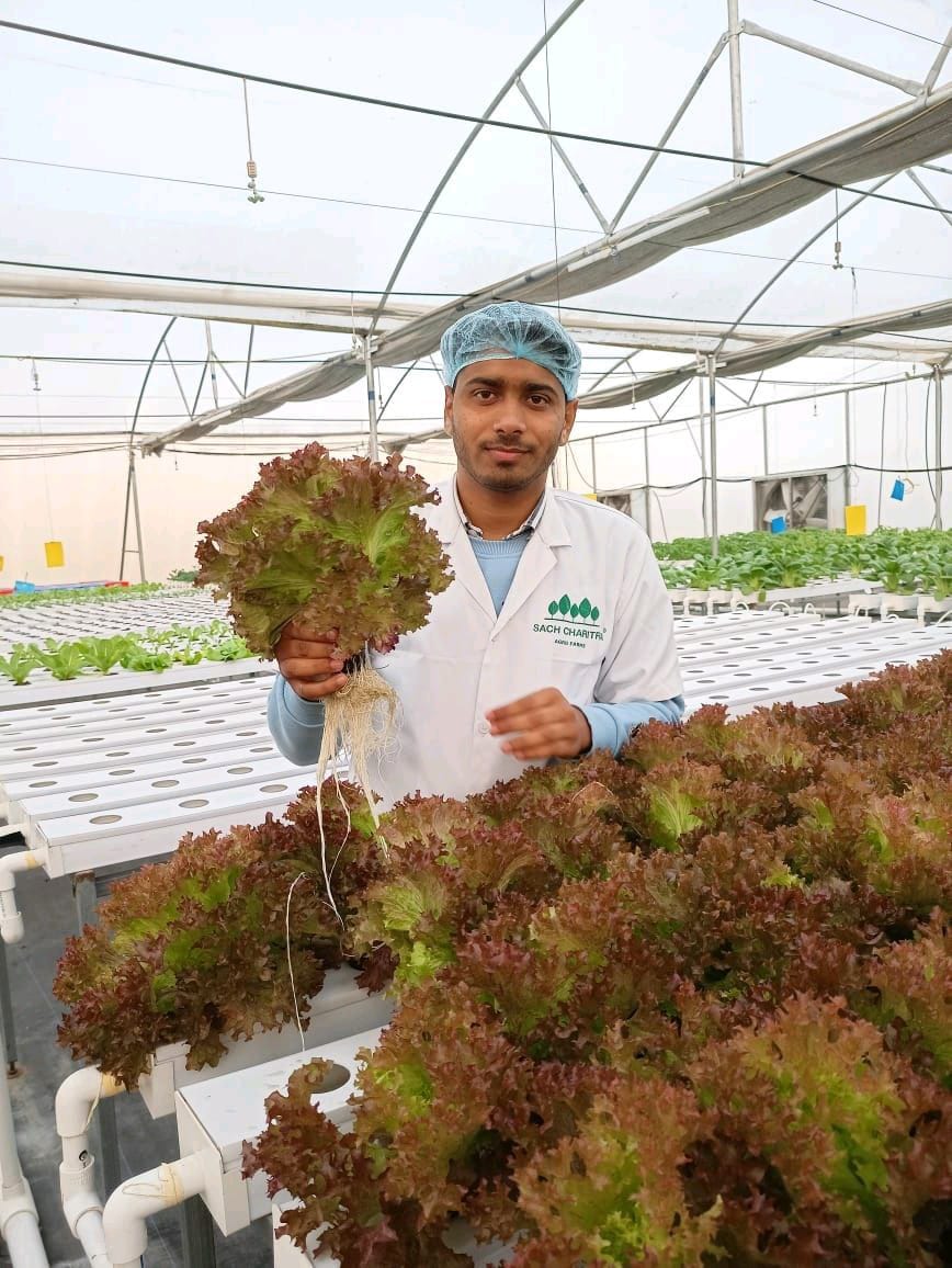 Monitoramento e Cuidados Diários Essenciais - inspiração 2