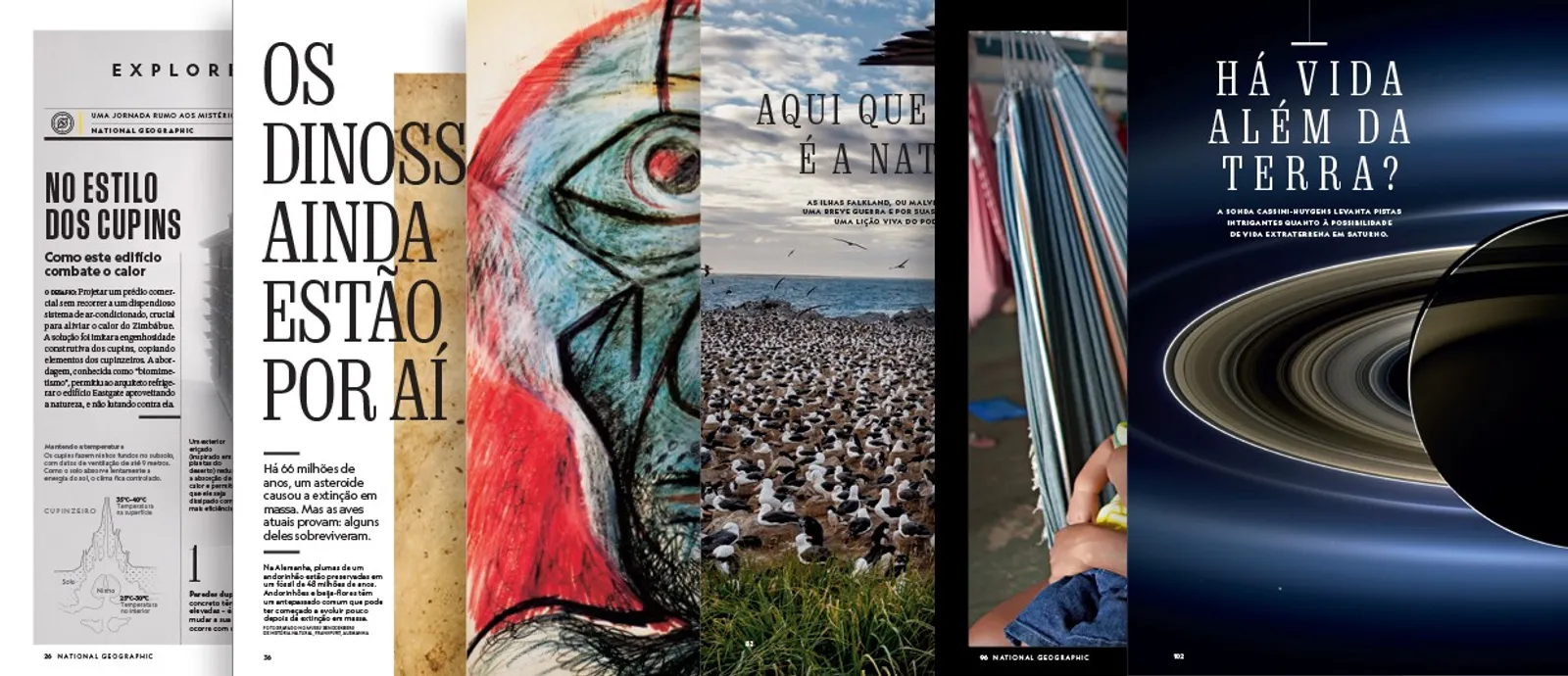 A Caatinga: Resistência e Beleza em um Bioma Único - inspiração 1