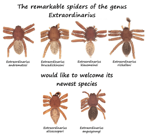 Nomes Inspirados em Comportamentos Específicos - inspiração 2