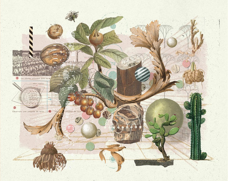 Agricultura Vertical: Alimentos Cultivados Dentro de Casa - inspiração 1