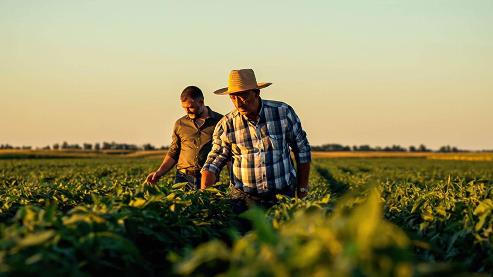 Educação Continuada: Aprendendo e Evoluindo Constantemente - inspiração 1