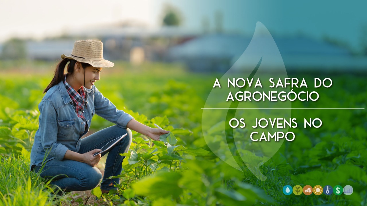 Gestão Financeira e de Pessoas: O Coração do Negócio Rural - inspiração 1