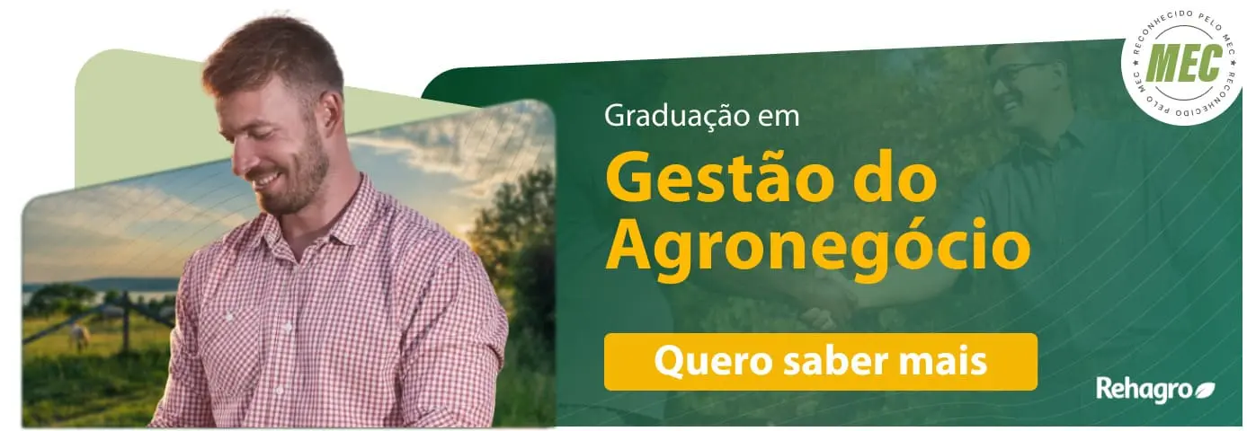 Sustentabilidade: Um Legado para as Próximas Gerações - inspiração 1