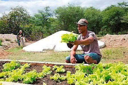 Marketing e Vendas: Conectando o Campo ao Mercado Global - inspiração 2