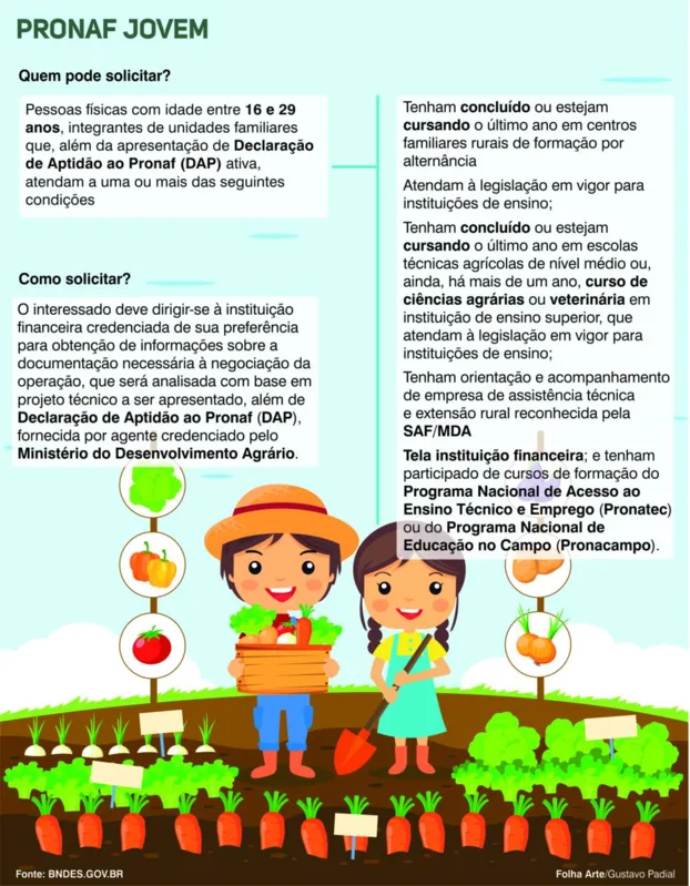 Conhecimento Técnico Sólido: A Base para Decisões Assertivas - inspiração 1