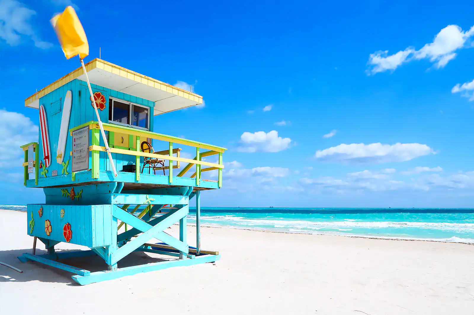 Aproveite a Vida Noturna Animada - inspiração 2