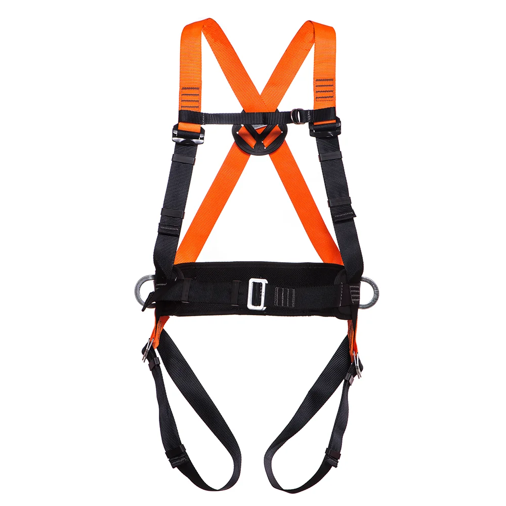 O Papel da Fivela e da Lingueta na Segurança - inspiração 2