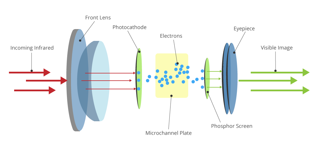 A Função dos Bastonetes na Percepção de Baixa Luminosidade - inspiração 1