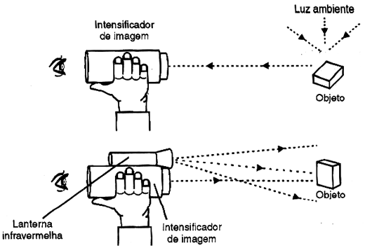 O Papel Crucial da Rodopsina - inspiração 1
