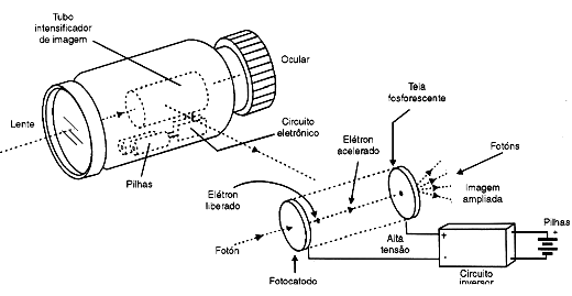Como a Visão Noturna Varia Entre as Pessoas? - inspiração 2