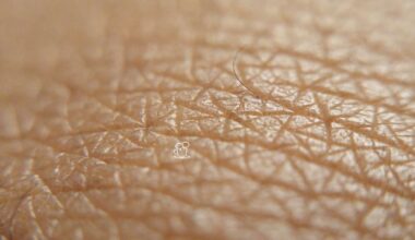 O Papel da Alimentação na Saúde da Pele - inspiração 2