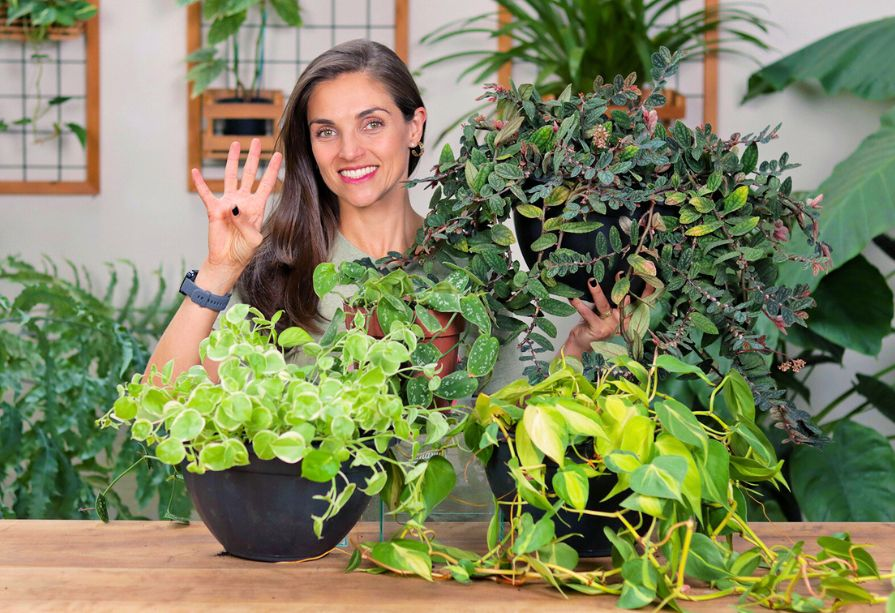 Identificando o Ambiente Ideal: Sol, Sombra e o Seu Espaço - inspiração 2