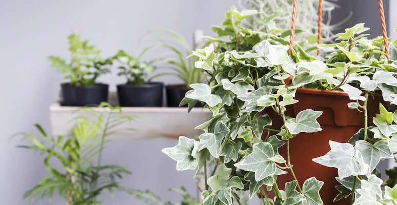 Variedade que Transforma: Explorando Texturas e Cores - inspiração 2