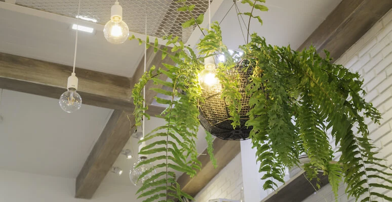 Poda Estratégica: Mantendo a Forma e Estimulando o Florescimento - inspiração 1