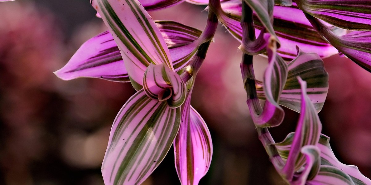 Onde Pendurar? Soluções Criativas para Cada Cantinho - inspiração 2