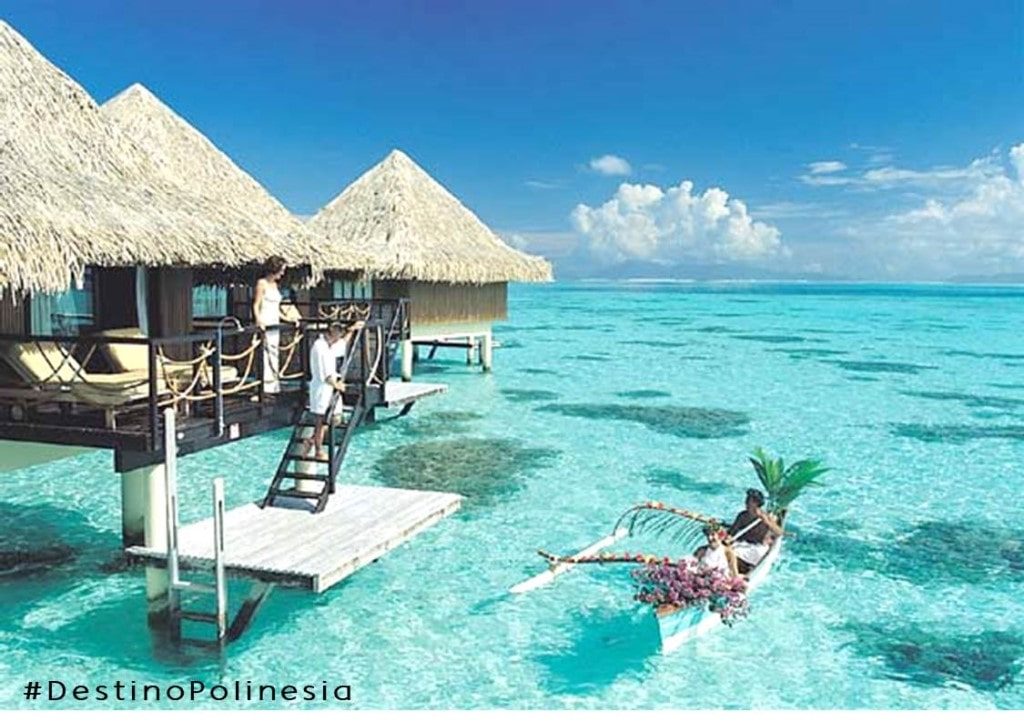 Gastronomia Polinésia: Sabores que Vão Te Surpreender - inspiração 2