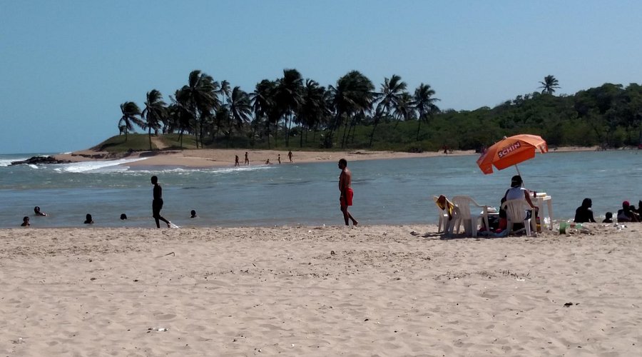 Contraste e Cor: Explorando o Encontro do Mar com a Mata Atlântica - inspiração 1