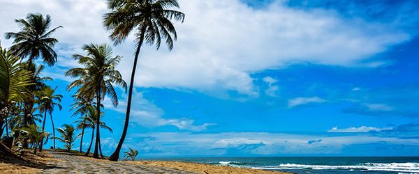 A Arquitetura do Resort e os Detalhes em Foco - inspiração 1