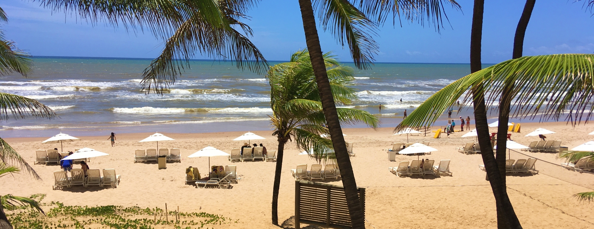 Esportes e Lazer: Capturando a Energia do Movimento - inspiração 2