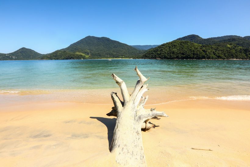 Juquehy: Sofisticação em Meio à Natureza Exuberante - inspiração 2