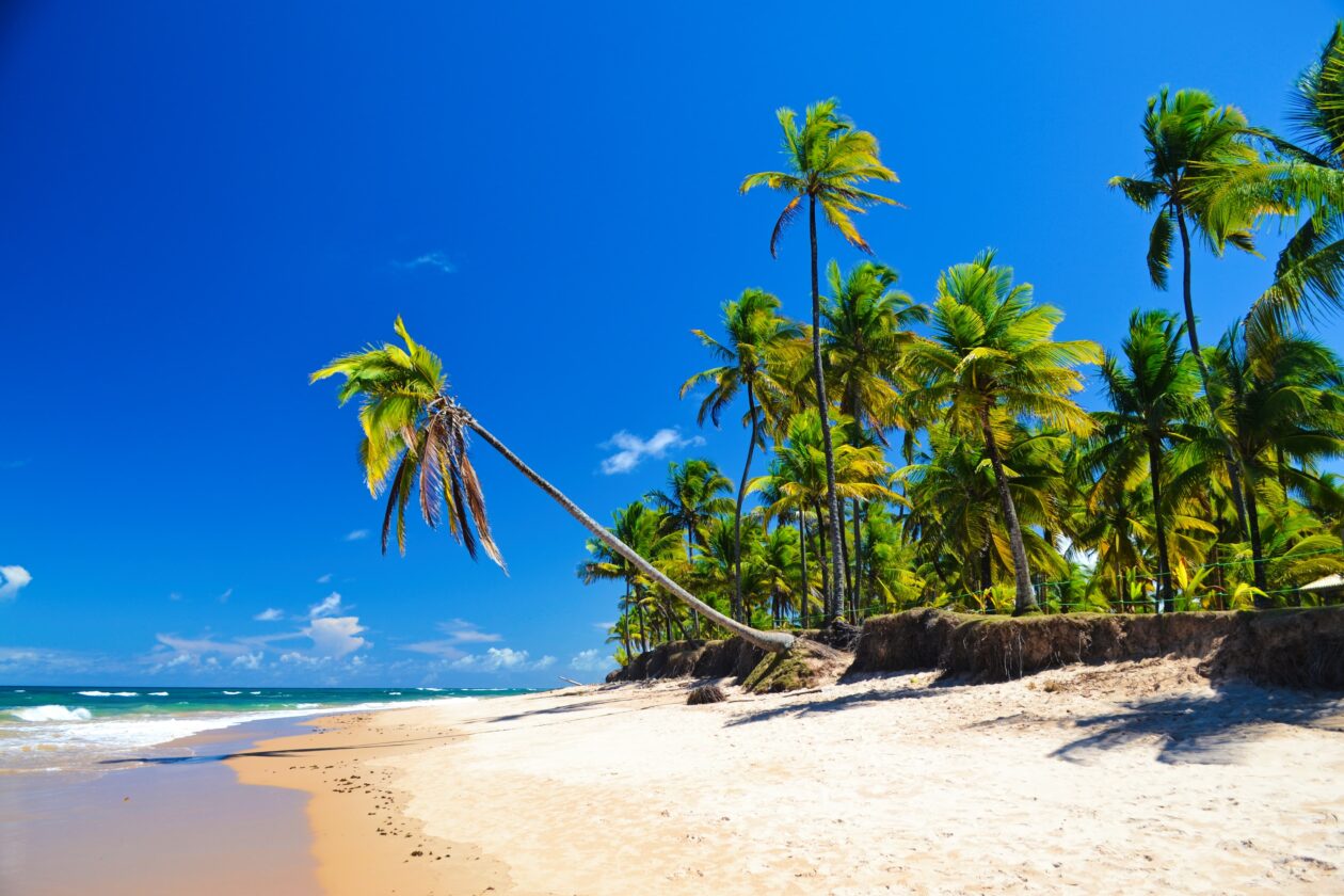 Canoa Quebrada (Ceará): Aventure-se Pelas Falésias Coloridas - inspiração 1