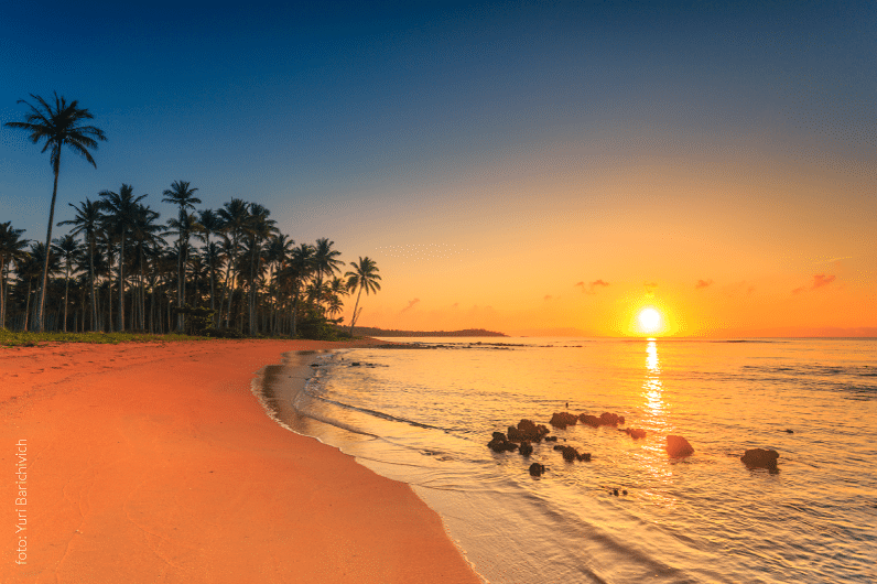 Praia do Forte: História, Natureza e Projeto Tamar - inspiração 2