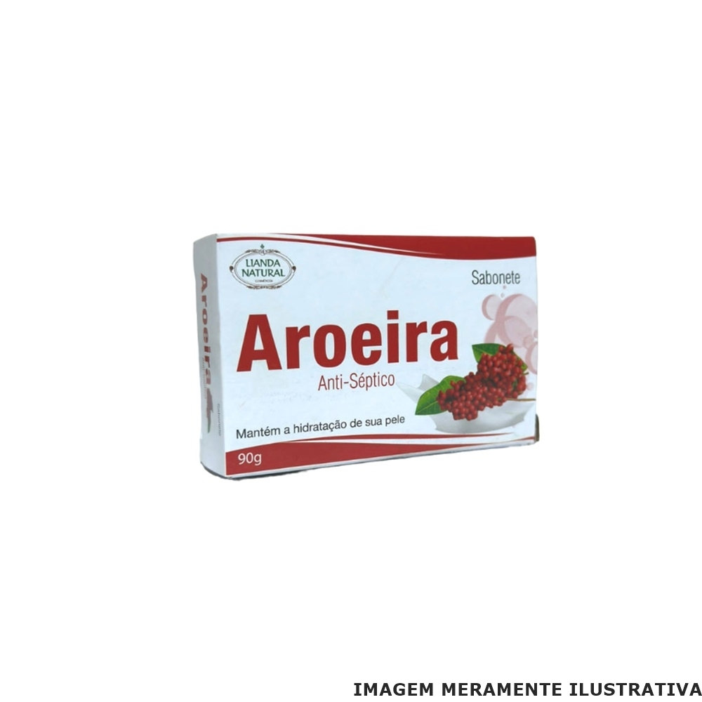 Receitas Caseiras e Alternativas para Quem Ama a Aroeira - inspiração 2