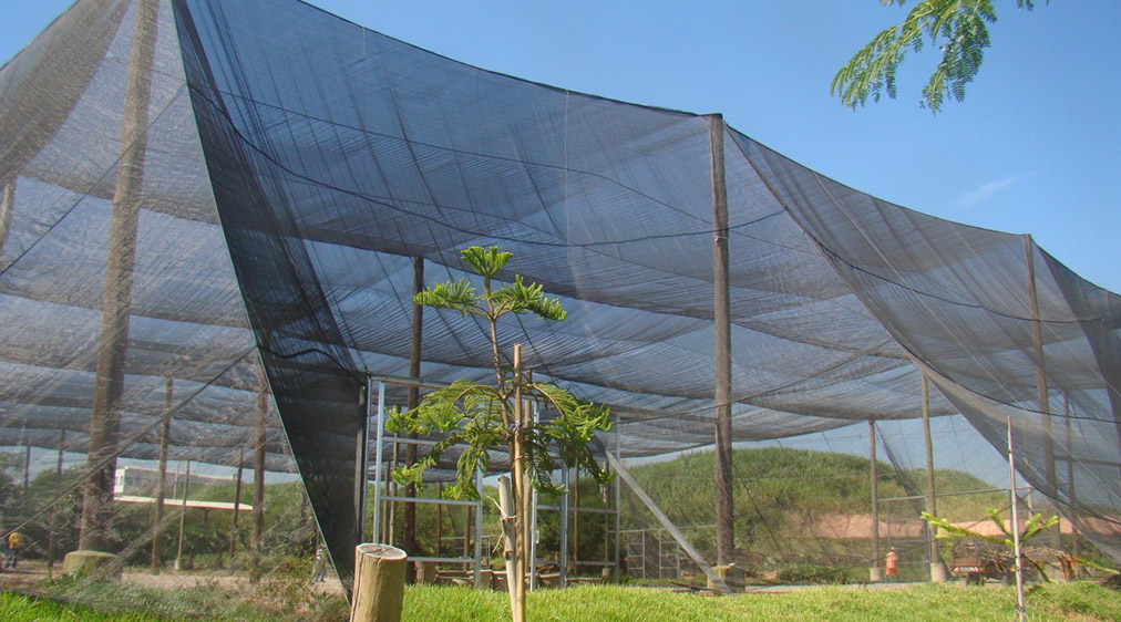 Escolhendo o Sombrite Certo para Suas Necessidades - inspiração 1