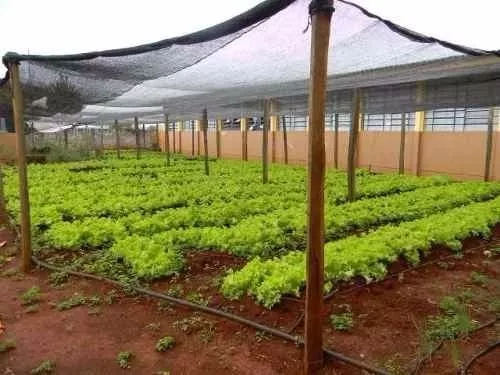 Técnicas de Fixação Seguras e Duradouras - inspiração 1