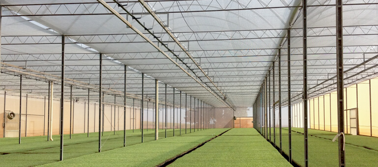 Técnicas de Fixação Seguras e Duradouras - inspiração 2