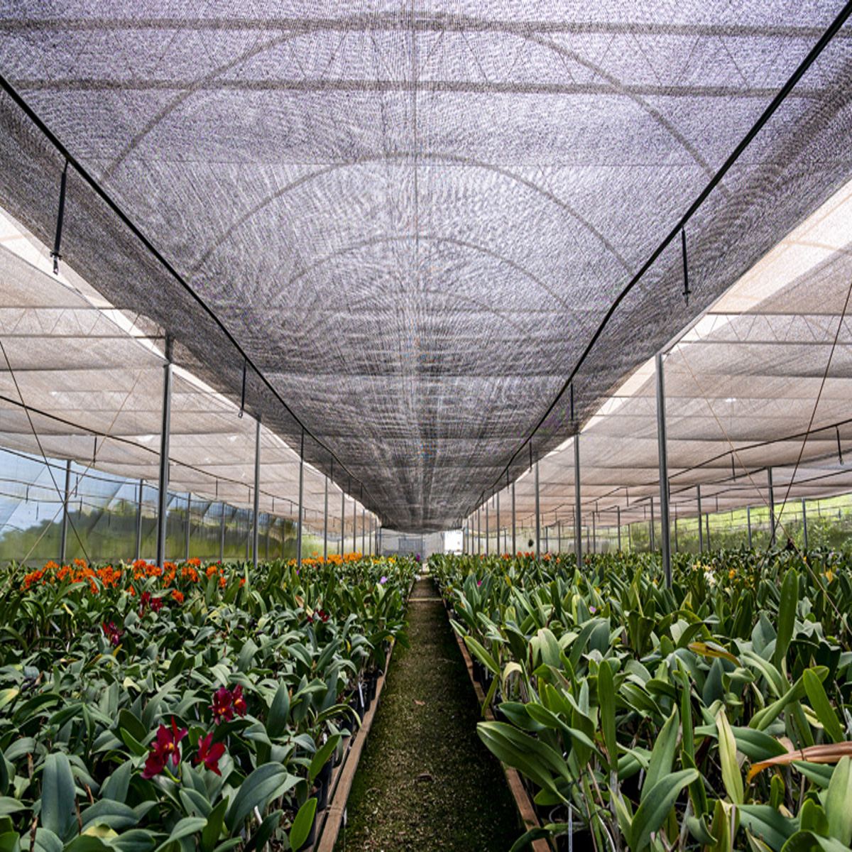 Solucionando Problemas Comuns na Instalação - inspiração 1