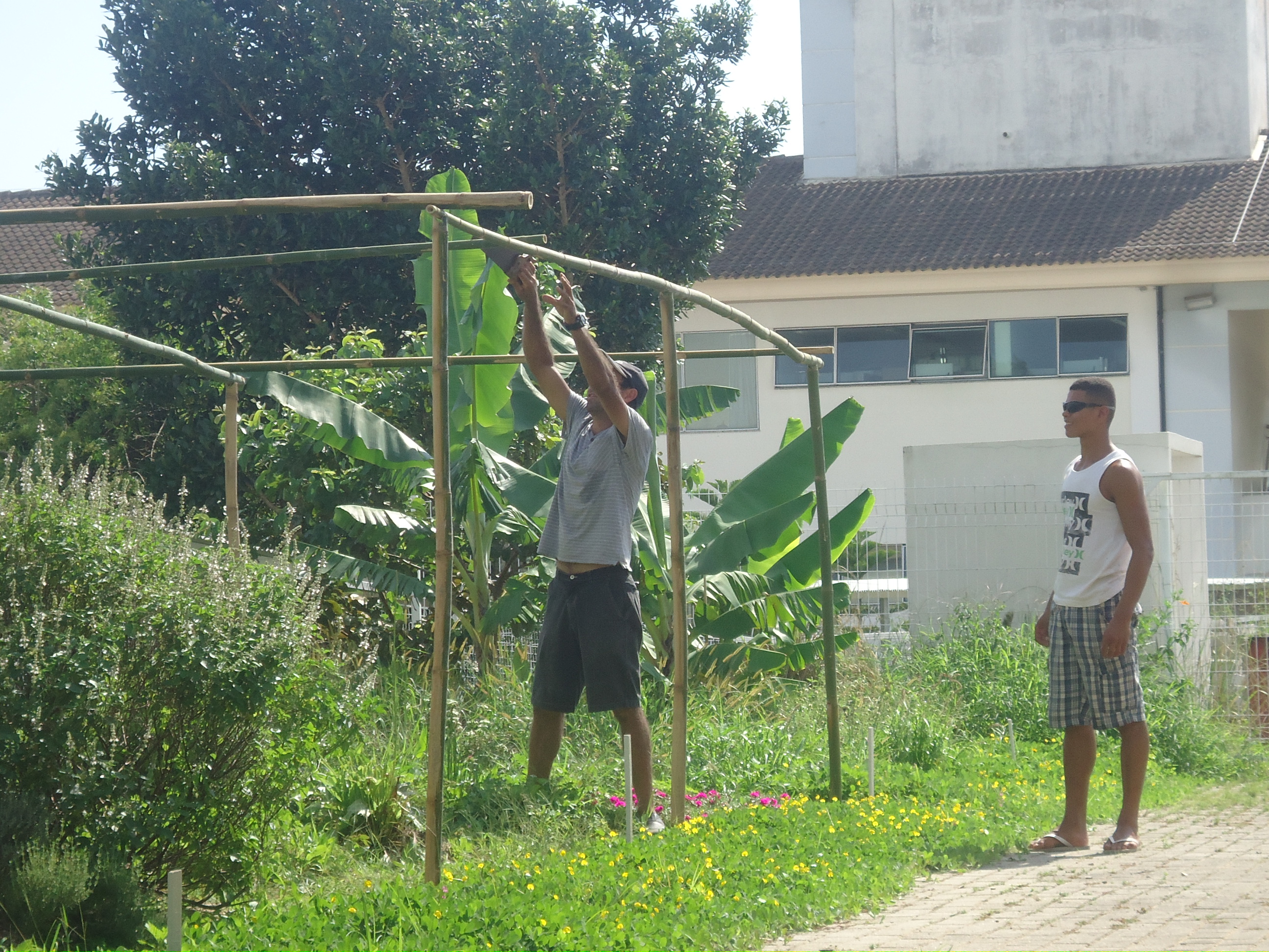 Solucionando Problemas Comuns na Instalação - inspiração 2