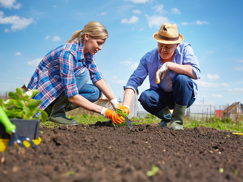 Avalie o Patrimônio e os Objetivos de Longo Prazo da Família - inspiração 2