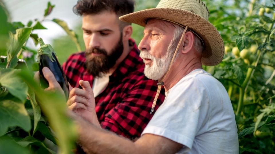 Revise e Adapte o Plano Periodicamente - inspiração 1