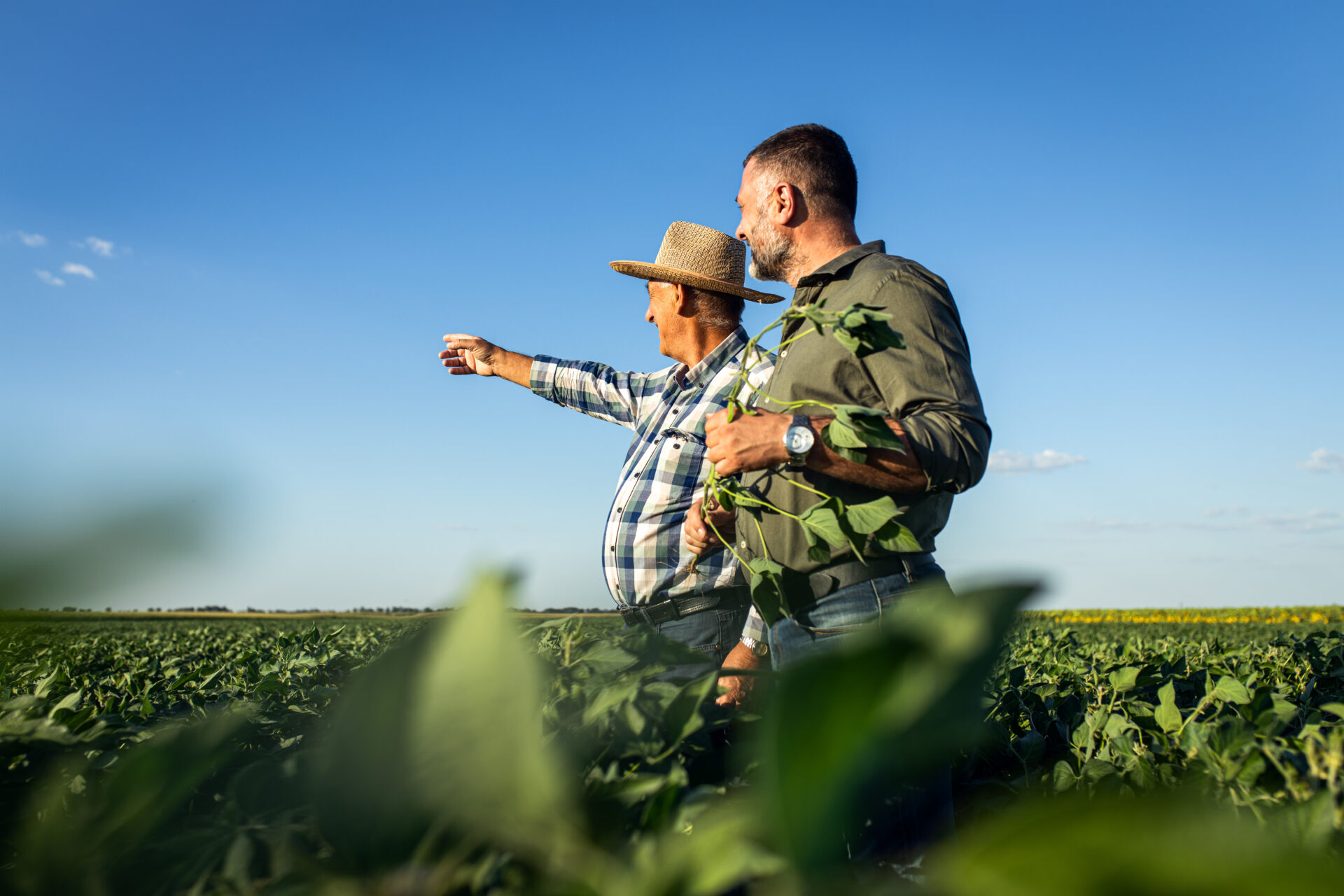 Estabeleça um Cronograma Realista para a Transição - inspiração 1