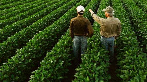 Estabeleça um Cronograma Realista para a Transição - inspiração 2