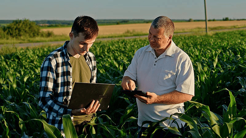 Prepare Documentação Essencial: Testamentos e Acordos - inspiração 1