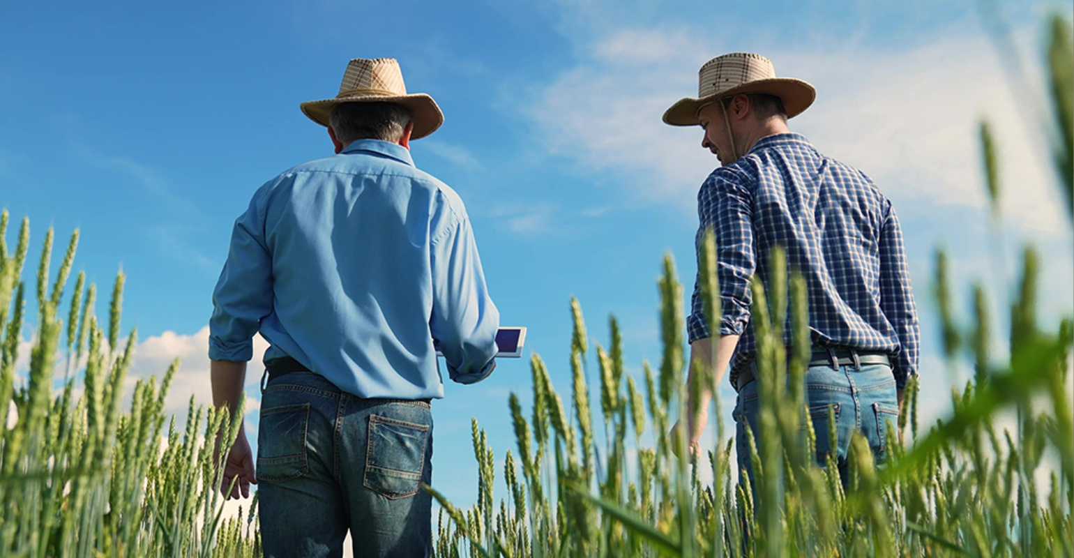 Invista em Capacitação e Mentoria para os Futuros Líderes - inspiração 1