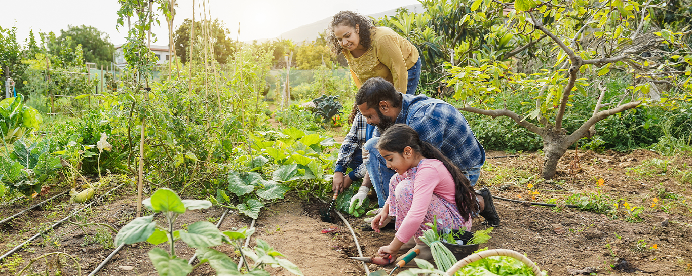 Invista em Capacitação e Mentoria para os Futuros Líderes - inspiração 2