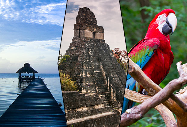 Gastronomia Diversificada: Sabores que Contam Histórias - inspiração 1