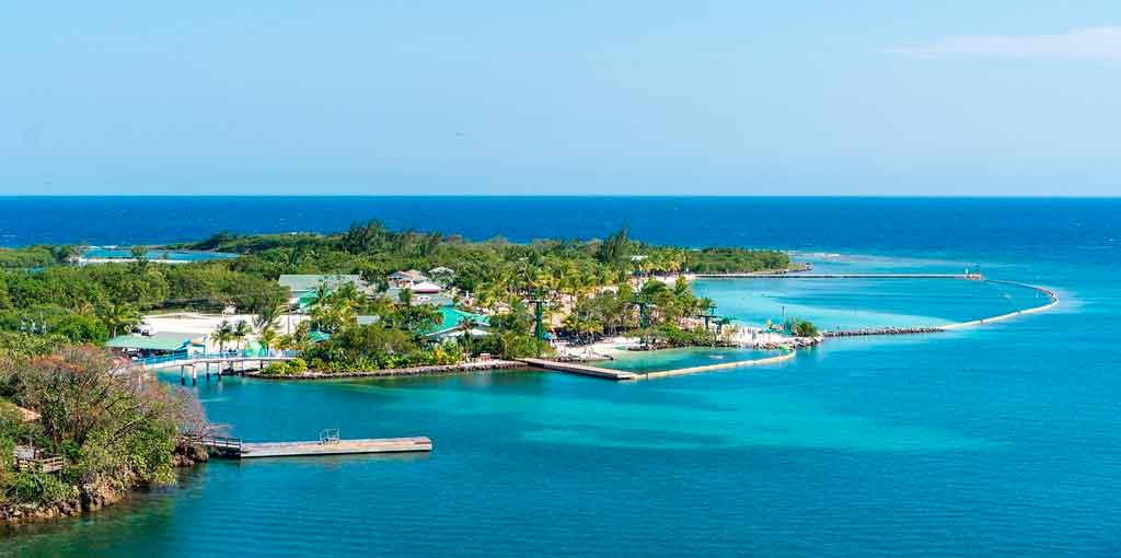 Gastronomia Diversificada: Sabores que Contam Histórias - inspiração 2