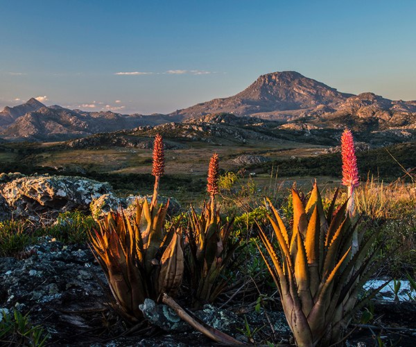 Serrano: A Trilha das Cachoeiras Encantadas - inspiração 2