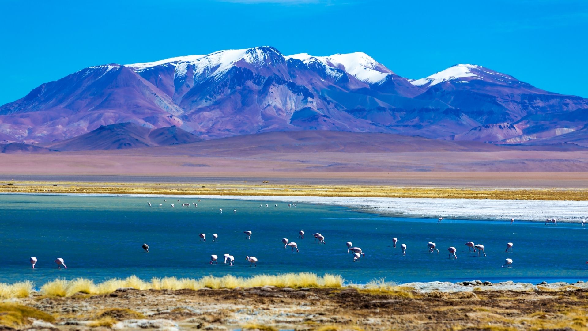 O Encanto das Vinícolas em Abril: Degustações e Paisagens de Tirar o Fôlego - inspiração 1