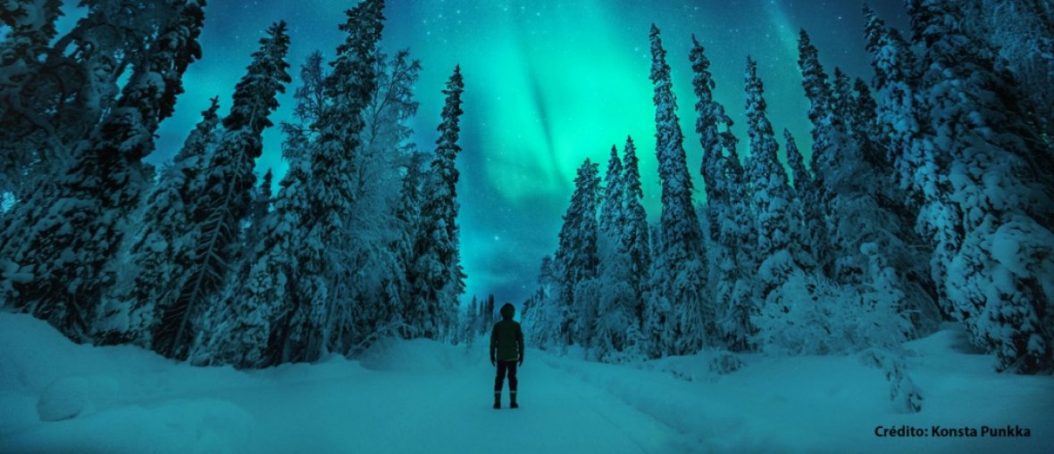 Chegada em Helsinque: Portas de Entrada para a Magia - inspiração 2